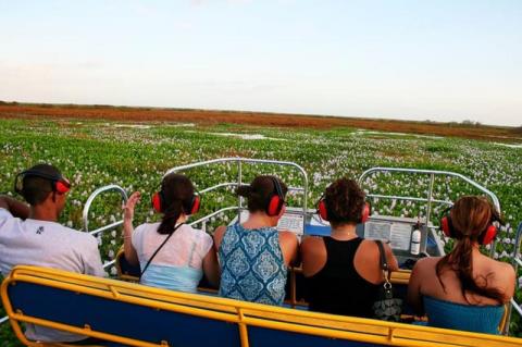 Special offers on airboat rides will be given for Thanksgiving Day and Black Friday. 