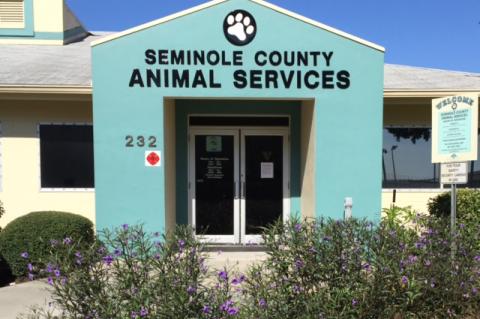 Seminole County Animal Services is located at 232 Eslinger Way, Sanford.