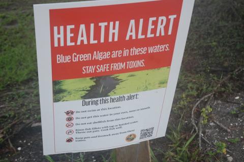 The Florida Department of Health in Seminole County has issued blue-green algae alerts for Lake Monroe, pictured here, Lake Jesup and Lake Howell. The algae can grow cyanotoxins that can be harmful to humans.
