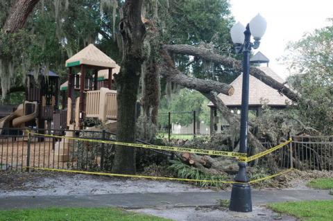 The City of Sanford was forced to close the Park on Park after a tree fell over the weekend. 