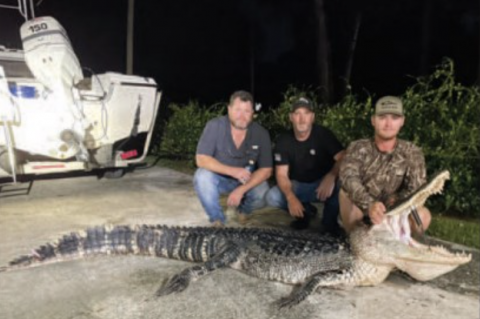 Jake Dickinson, right, of Sorrento harvested two 10-foot alligators out of Lake Monroe this past week with the help of a couple friends, Matt Buchanan and Mark Knight.
