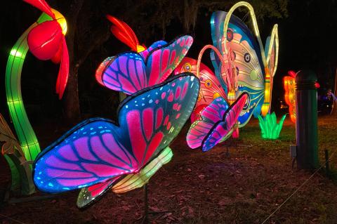 The Asian Latern Festival: Into the Wild will be held on select nights at the Central Florida Zoo until Jan. 15.