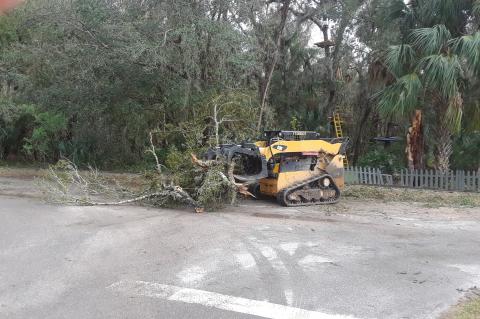According to Zoo Director Stephanie Williams, severe weather Thursday morning damaged some trees at the Central Florida Zoo, though no animals or staff were hurt. She said they had been "very fortunate."
