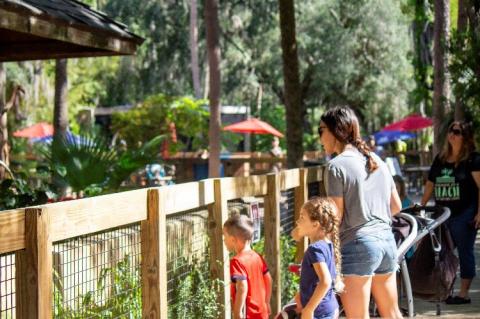 Famiy Sunset at the Zoo will return the fourth Friday from May to September from 5 to 8 p.m. 
